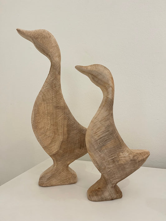 Pato madera